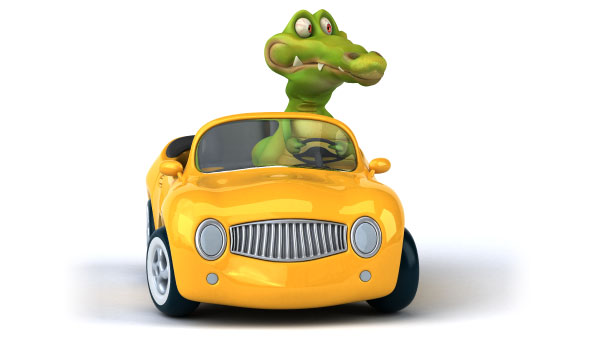 concerned aligator driving yellow car